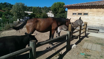 Préservation de la ferme pédagogique du collet des comtes