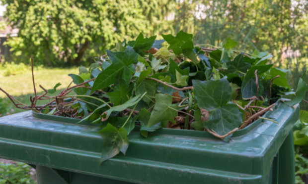Retour du ramassage des déchets verts pour tous sur la commune de st Just Luzac