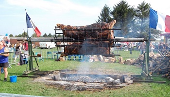 Contre la fête du boeuf de Bugnicourt !