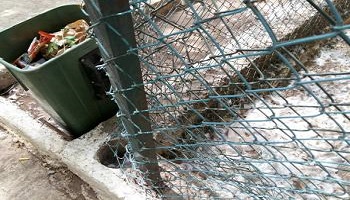 Venez en aide aux animaux du jardin historique Lahboul à Meknes