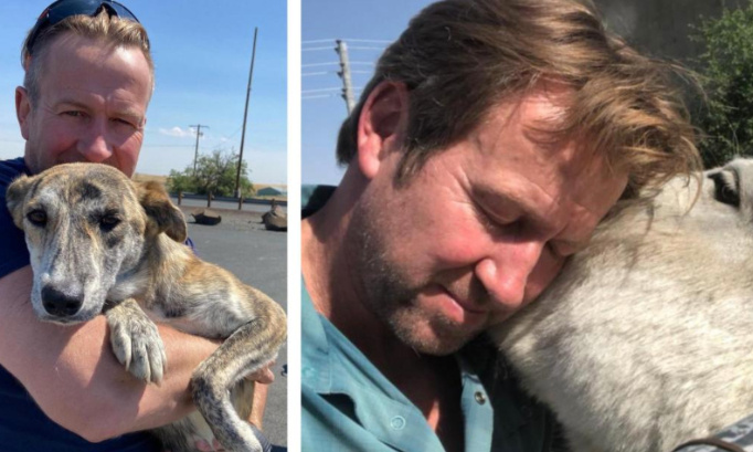 Aidons Paul Farthing à rapatrier ses animaux de kaboul