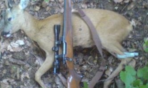 Pétition contre la chasse !