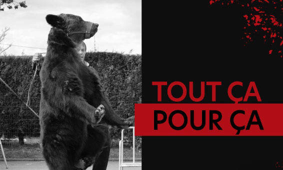 Condamnation pénale des Poliakov : nous demandons le placement immédiat de l'ensemble des animaux.