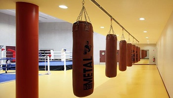 Sauvons la salle de boxe de la Rauze et son club