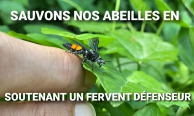 POUR SAUVER UN DEFENSEUR D'ABEILLES BLOQUÉ  PAR LINKEDIN !