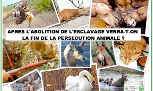 Contre les loisirs de mort et de torture des animaux