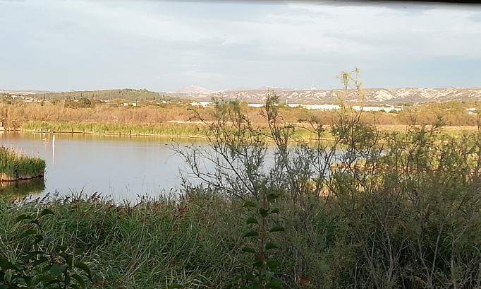 NON À L'IMPLANTATION DE L'USINE SATYS SUR LA Z.A.C DES FLORIDES À MARIGNANE