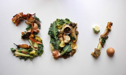 Pour la collecte des biodéchets en porte à porte dans le Grand Reims