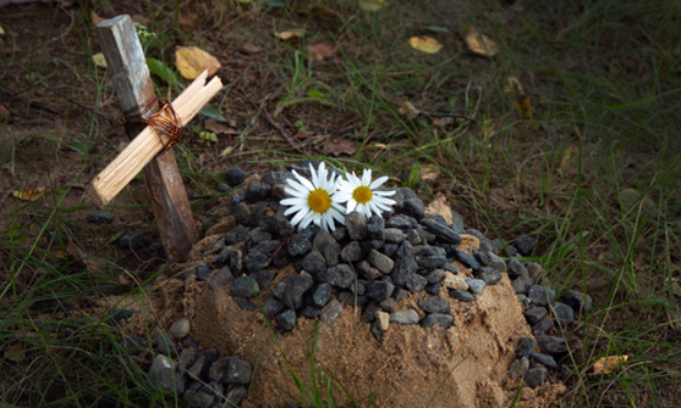 Justice pour ma chienne Princesse assassinée