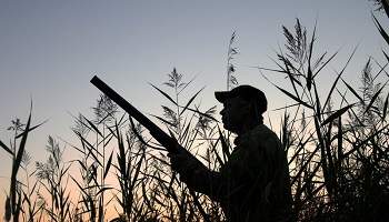 Pour l'arrêt de la chasse le dimanche