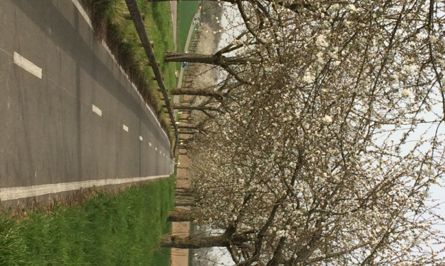 Non à l'extension de la Décharge Cosson à Puiseux-en-France (ISDI Bois du Coudray Ouest-La Queudon)