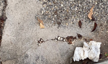 Pour une ville réellement propre