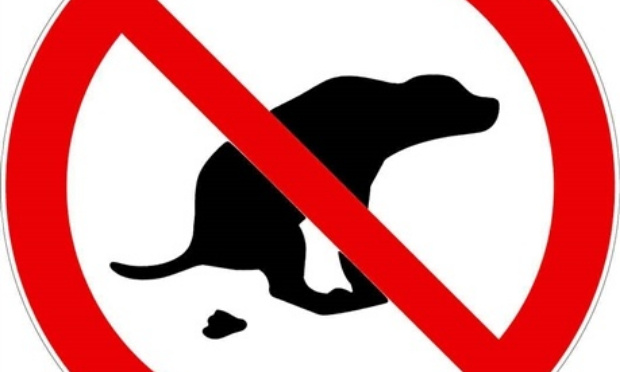 MARRE DES CROTTES À SAYAD