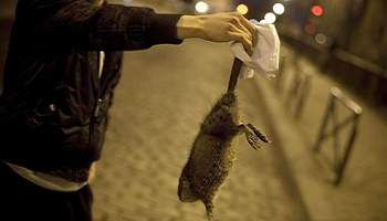 Déménagement urgent