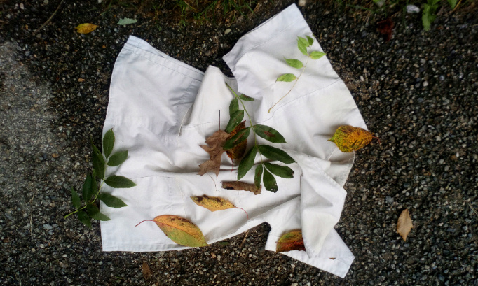 Soutien aux soignant.es et travailleur.euses soumis.es à l'obligation vaccinale