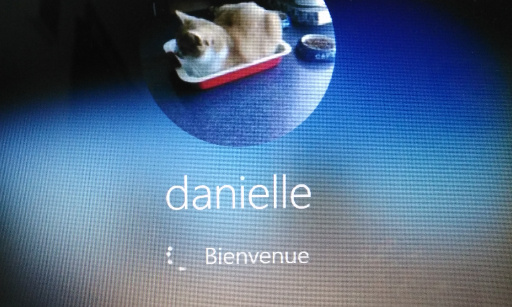 Petition : FICHIER POUR ANIMAUX