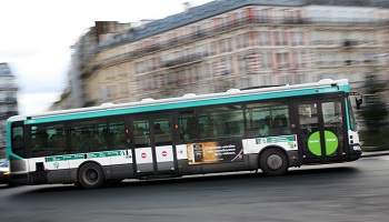 L'autorisation de tous les chiens non dangereux dans les bus et le métro !