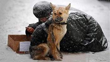 Plan d'urgence pour les personnes itinérantes vivant en présence ou non d'un animal de compagnie en période hivernale