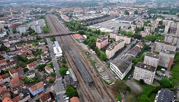 Enquête approfondie sur la disparition de nombreux chats à Schiltigheim