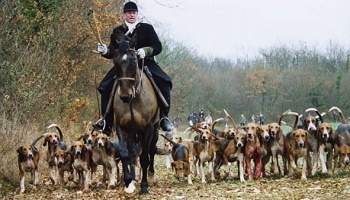 Pour la défense de la chasse en France