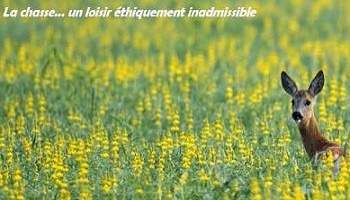 L'abolition de toute forme de chasse