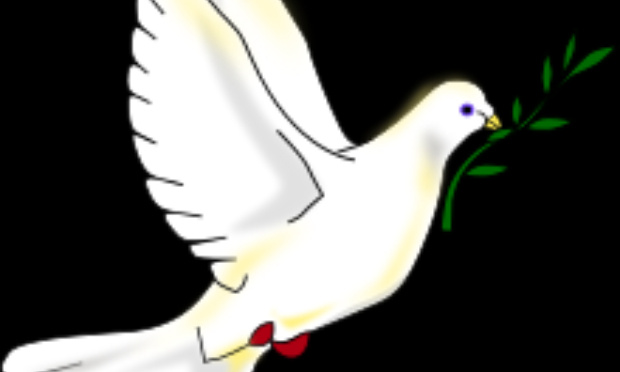 PENSEZ-VOUS VOTER ANIMALISTE au premier tour des prochaines élections ?