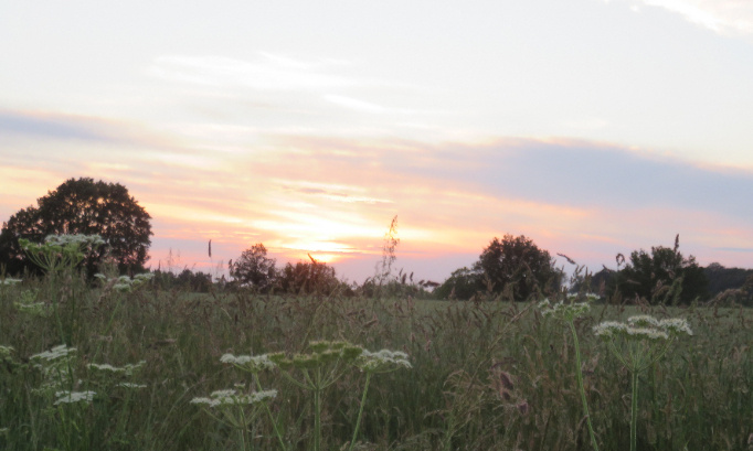 Halte à l'extraction massive de sable !