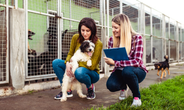CONTROLER LES PERSONNES AVANT DE LEUR CONFIER UN ANIMAL.