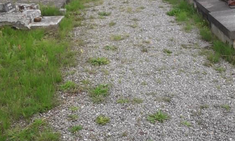 Pour l'entretien du le cimetière de Rexpoede !