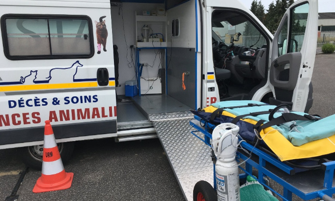 Création de SAMU pour les animaux de compagnie