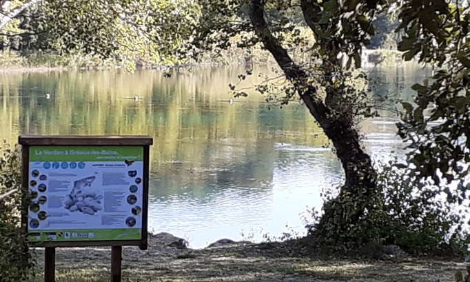 Evitons un véritable écocide ; et sauvons le plan d'eau à Gréoux les bains