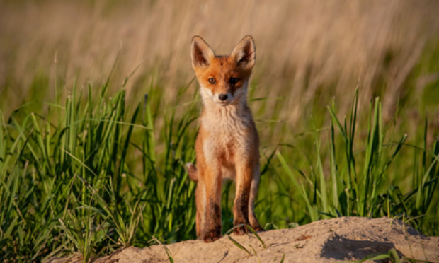 Pour un déclassement 