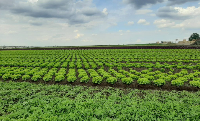 Vivre sereinement dans nos villes