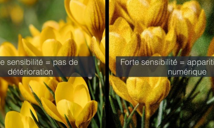 Rétablissons le calme à Las Terrenas