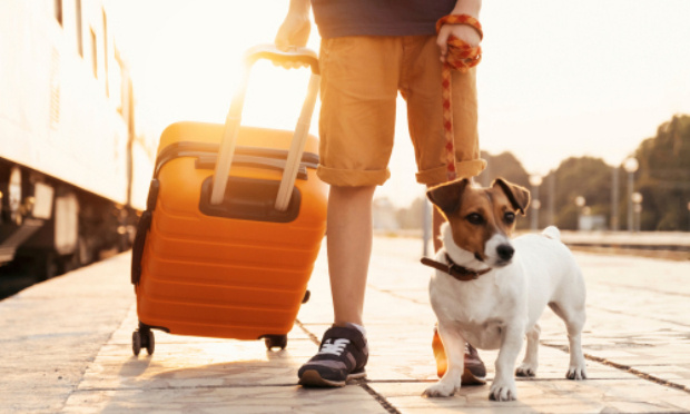 Pour que les voyages en train soient à 7€ pour tous les animaux
