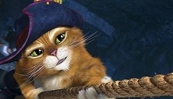 Pour un programme sur les chats