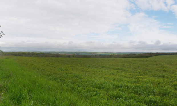 Contre l'installation d'une centrale photovoltaïque à Curtil-Saint-Seine : NON à l’industrialisation du patrimoine naturel