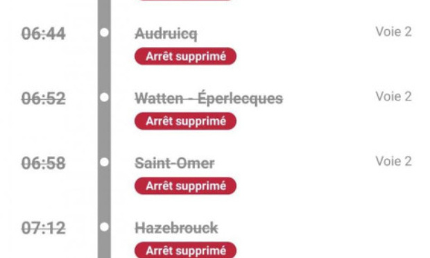 Stop aux retards et aux trains surchargés pour un service de lignes TER à la hauteur