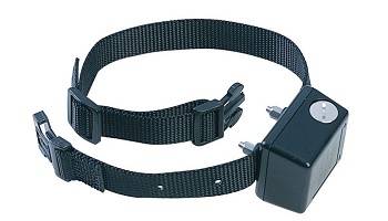 Pour l'interdiction des colliers électriques pour chiens