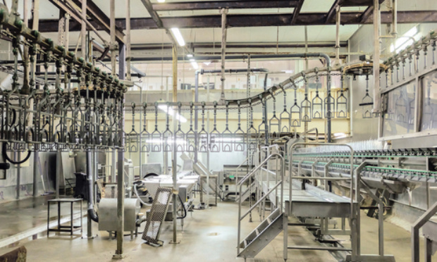 Pour la fermeture des abattoirs en France