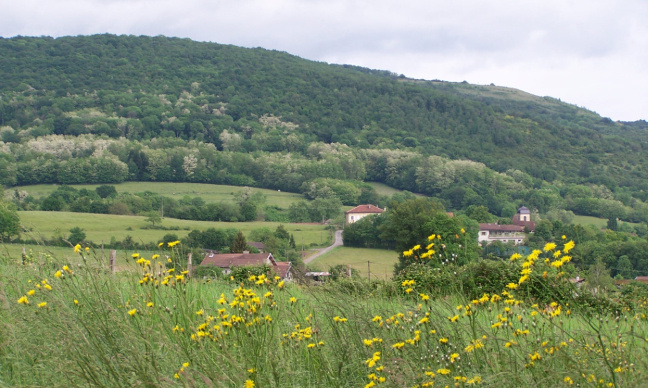 Non à une antenne relais 4G sur le Mont Verjon