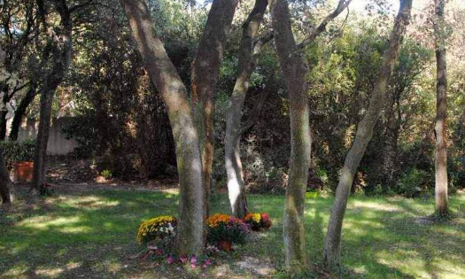 Défendons le jardin du souvenir d'Orange