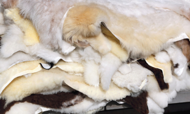 Pour arrêter la vente d'os en peaux naturelles d'animaux et de peaux de bêtes en montagne !