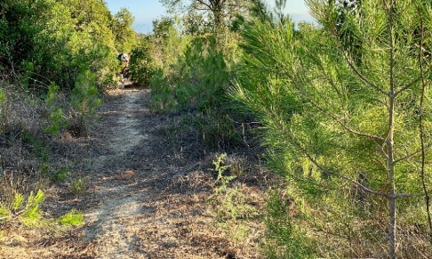 Non à la chasse à Loupian