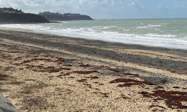 Rendez-nous la plage de Donville les Bains ! Pour une plage propre et sans galet