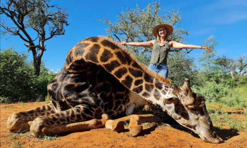 Que la femme qui a tué une girafe soit condamnée