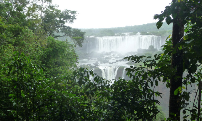 Appel du collectif Union pour l’Ecologie : Imposons l’union pour l’écologie la plus large dans les élections françaises de 2022 !