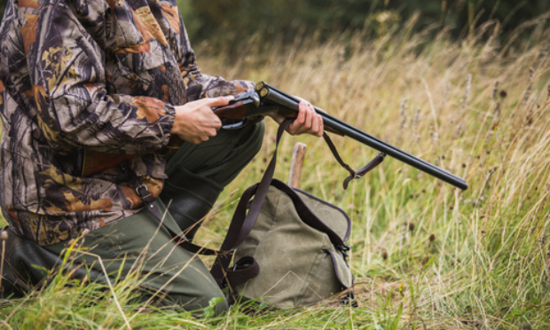 Faire cesser la chasse sous toutes ses formes