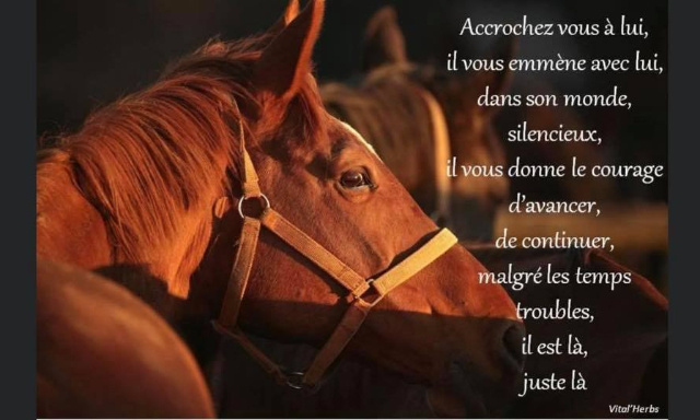 POUR LE CHANGEMENT DE STATUT DU CHEVAL