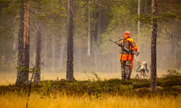 Abolir la chasse et laisser la nature se réguler seule.